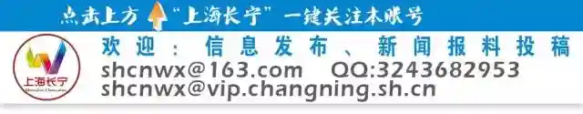 2019最新“上海办事通讯录+政务电话大全”！一定用得上，值得你收藏！